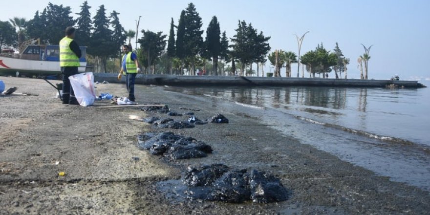 Petrol sızıntısı Aliağa sahilini kirletti