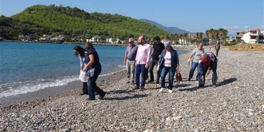 Balon balıklarını yiyen kediler öldü