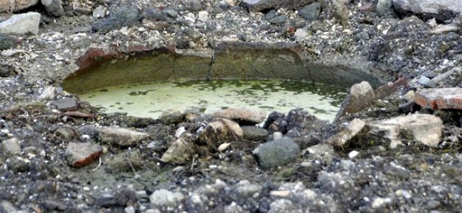 Kuraklıkla mücadele eden Sapanca Gölü'nde define talanı