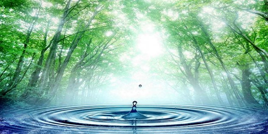 İçme suyu kaynaklarının doluluk oranı yüzde kaç ?
