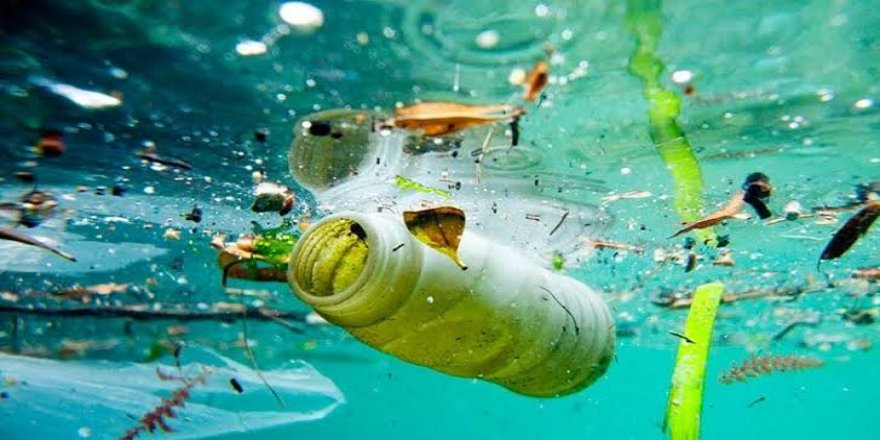 Hindistan gemilerde tek kullanımlık plastikleri yasaklanıyor