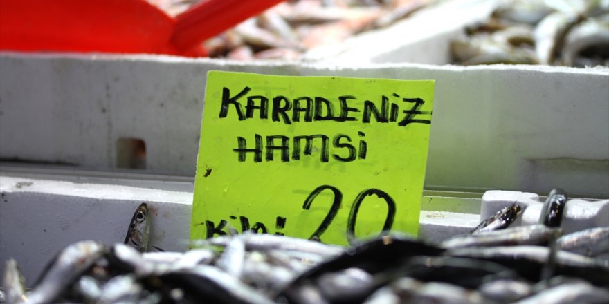 10 liralık hamsi keyfi kısa sürdü