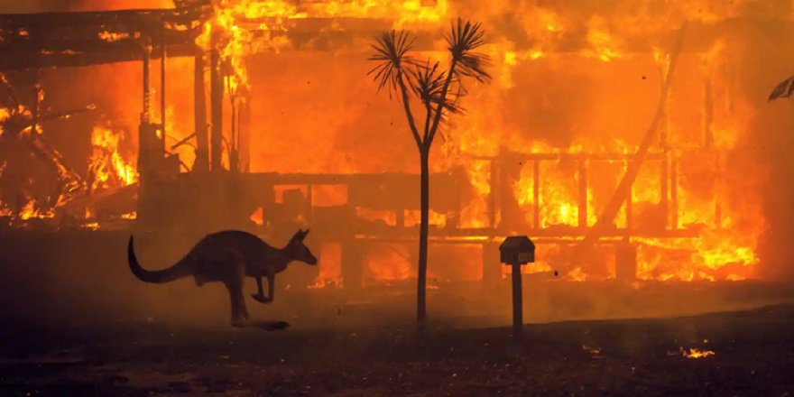 Avustralya yangını hala devam ediyor mu?