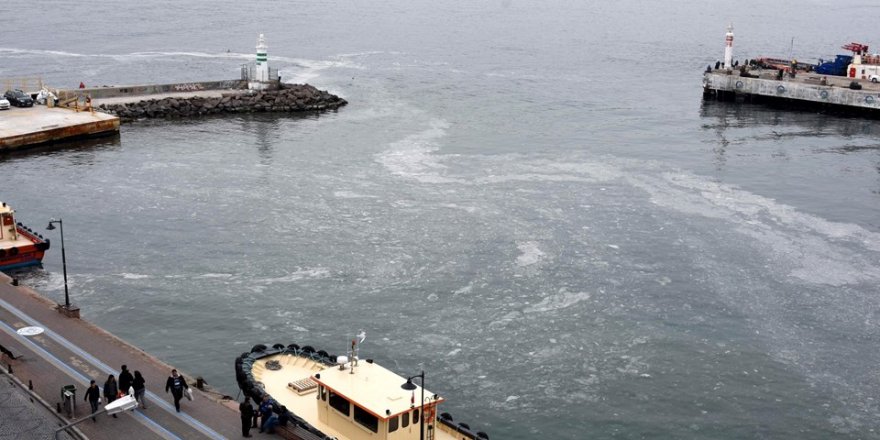 Çanakkale’de denizanaları korkuttu