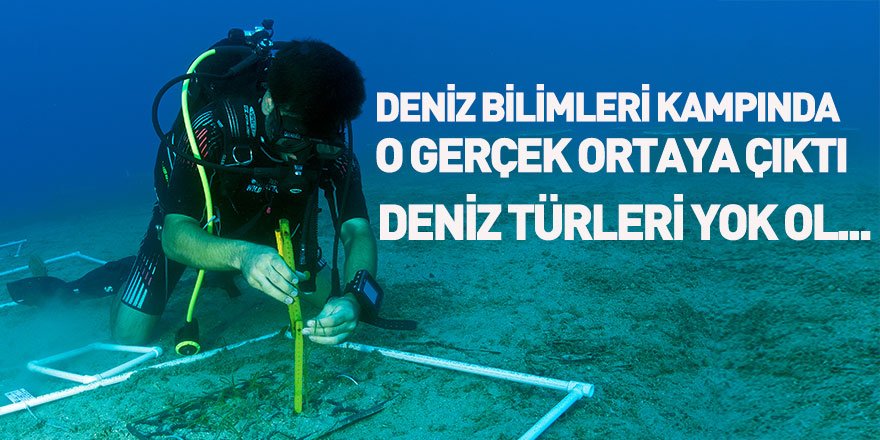 Deniz Bilimleri Kampı Düzenlendi