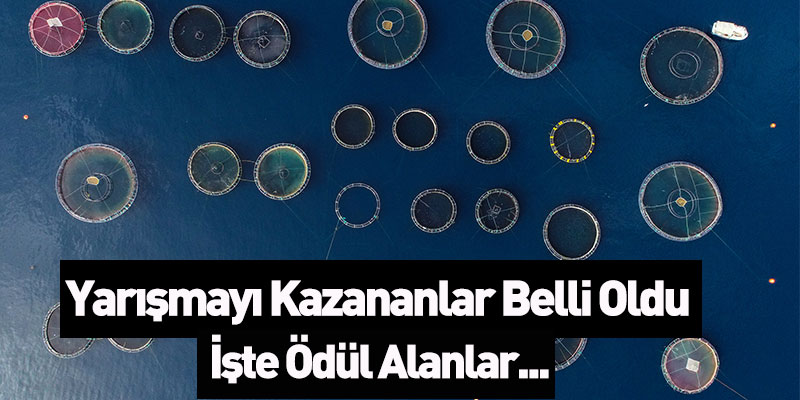 Balık Fotoğrafı Yarışmasının Kazananları Belli Oldu