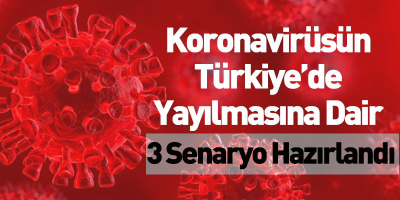 Türkiye’nin Koronavirüs Senaryosu