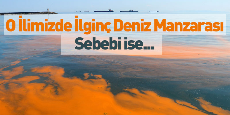 O İlimizde İlginç Deniz Manzarası