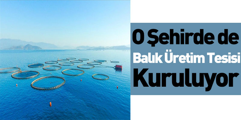 O Şehirde de Balık Üretim Tesisi Kuruluyor