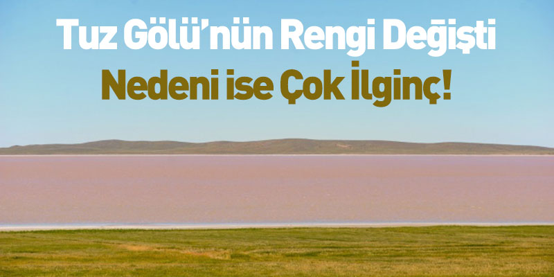 Tuz Gölü’nün Rengi Değişti Nedeni İse Çok İlginç!