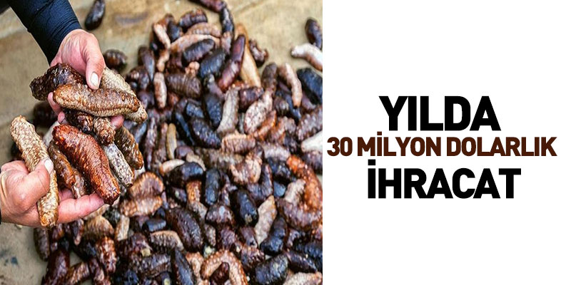 Yılda 30 Milyon Dolarlık İhracat