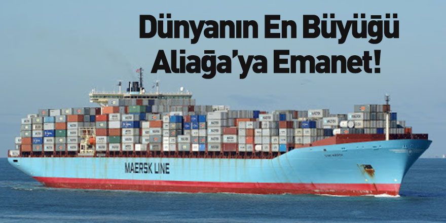 Maersk'in Sattığı Sine Maersk Gemisi Aliağa'da Sökülecek