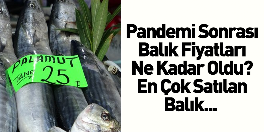 Pandemi Süreci Sonrası Balık Fiyatları Ne Kadar Oldu?