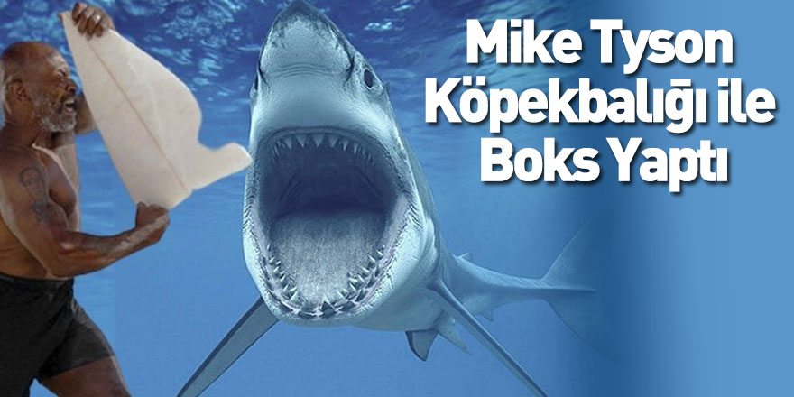 Mike Tyson Köpekbalığı ile Boks Yaptı
