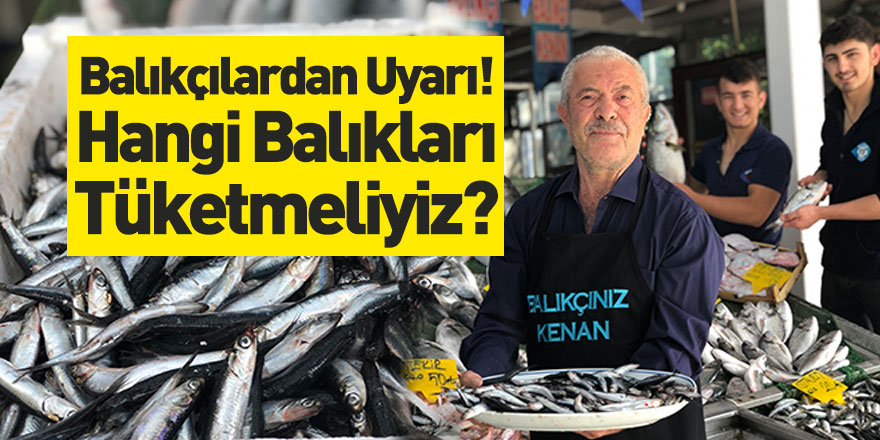 Balıkçılardan Uyarı! Hangi Balıkları Tüketmeliyiz?