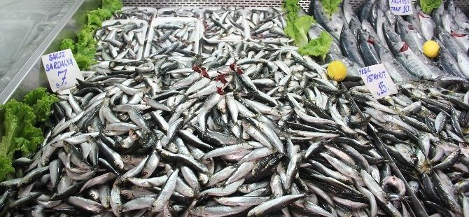 Çanakkale’de balık tezgahları şenlendi