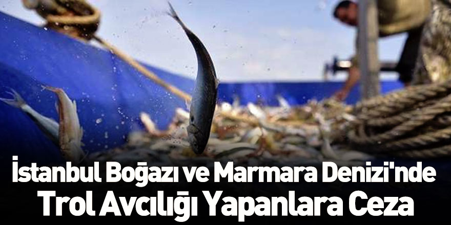 İstanbul Boğazı ve Marmara Denizi'nde Trol Avcılığı Yapanlara Ceza