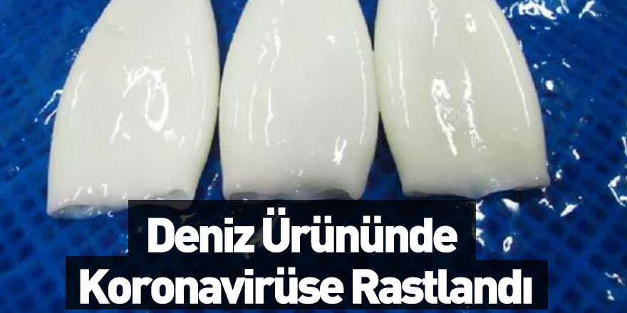 Deniz Ürünlerinde Covid -19'a Rastlandı