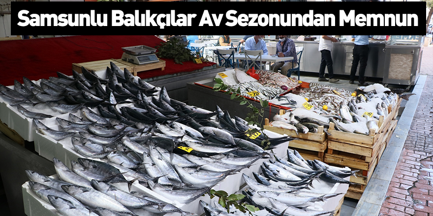 Samsunlu Balıkçılar Av Sezonundan Memnun