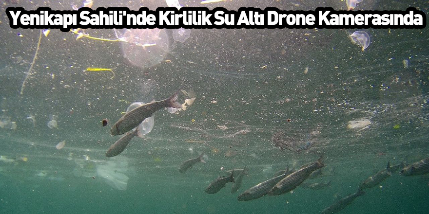 Yenikapı Sahili'nde Kirlilik Su Altı Drone Kamerasında