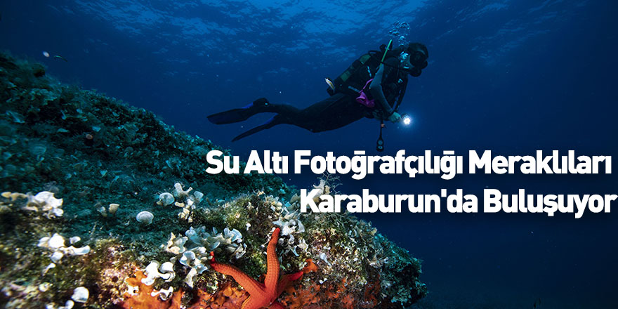 Su Altı Fotoğrafçılığı Meraklıları Karaburun'da Buluşuyor