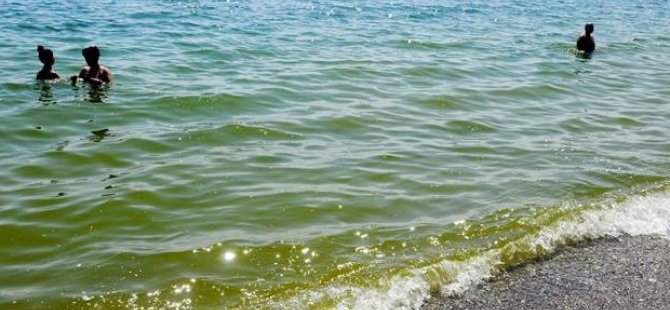 Yeşil denizin nedeni 'alg' patlaması