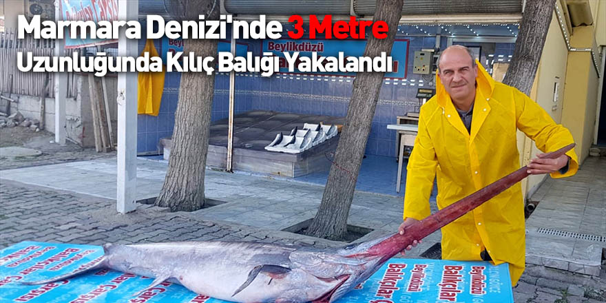 Marmara Denizi'nde 3 Metre Uzunluğunda Kılıç Balığı Yakalandı