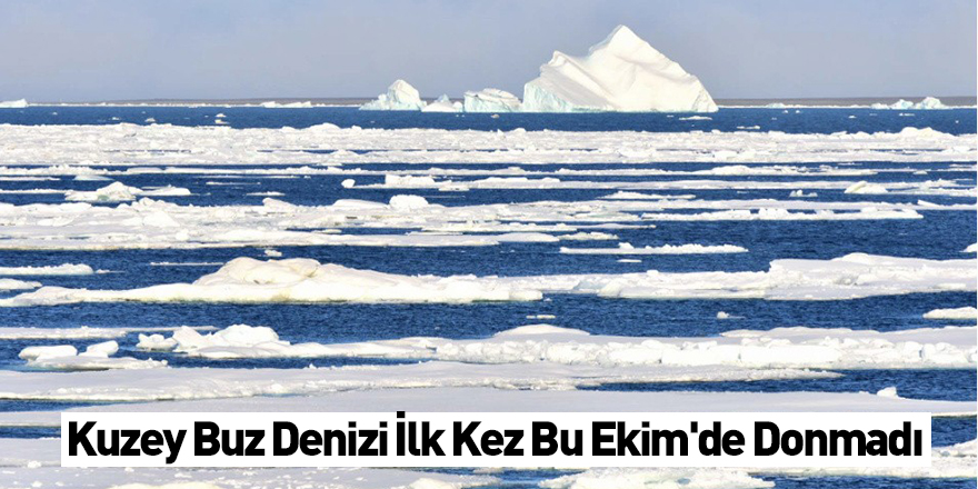 Kuzey Buz Denizi İlk Kez Bu Ekim'de Donmadı