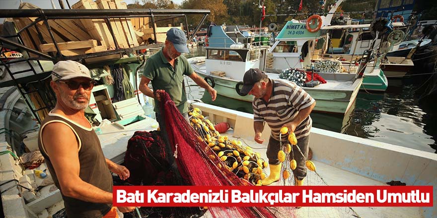 Batı Karadenizli Balıkçılar Hamsiden Umutlu