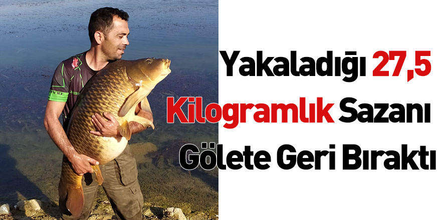 Yakaladığı 27,5 kilogramlık Sazanı Gölete Geri Bıraktı