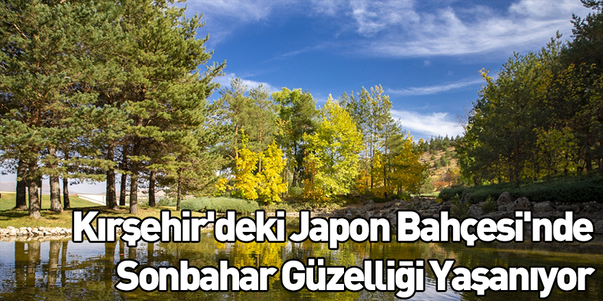 Kırşehir'deki Japon Bahçesi'nde Sonbahar Güzelliği Yaşanıyor