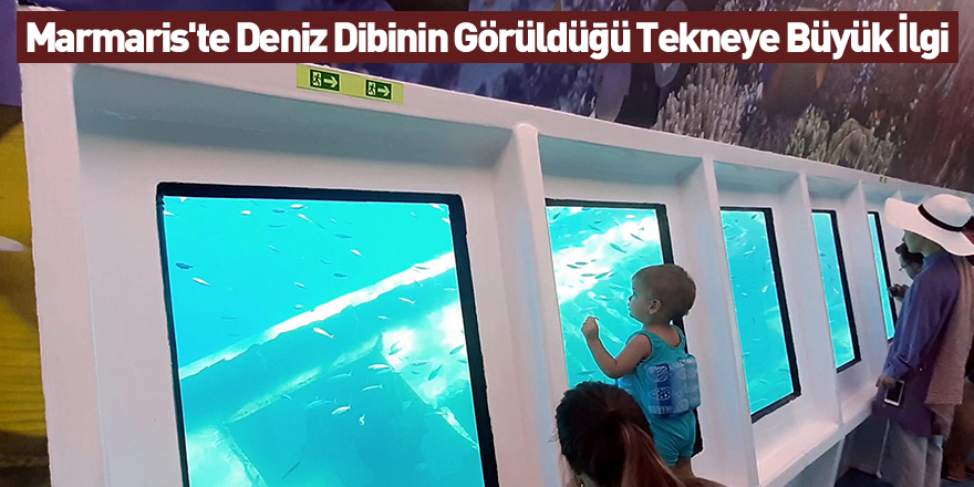 Marmaris'te Deniz Dibinin Görüldüğü Tekneye Büyük İlgi