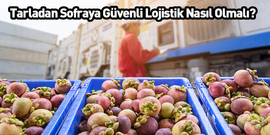 Tarladan Sofraya Güvenli Lojistik Nasıl Olmalı?