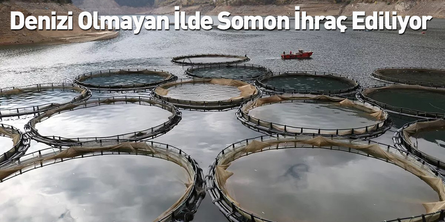 Denizi Olmayan İlde Somon İhraç Ediliyor