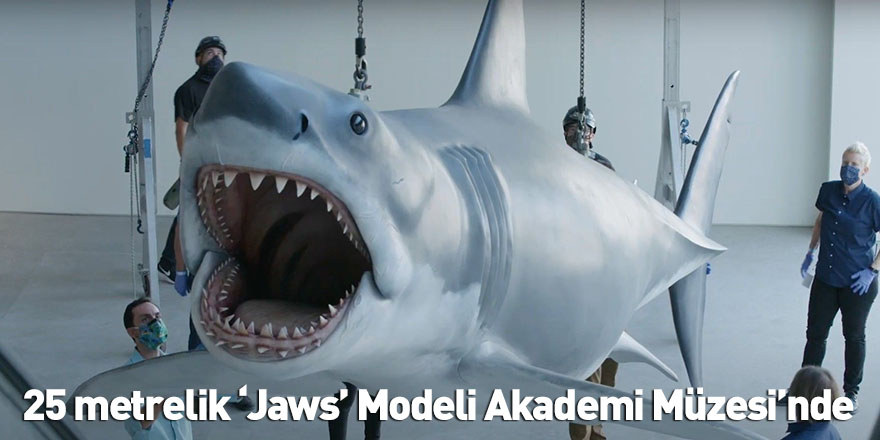 25 metrelik ‘Jaws’ Modeli Akademi Müzesi’nde