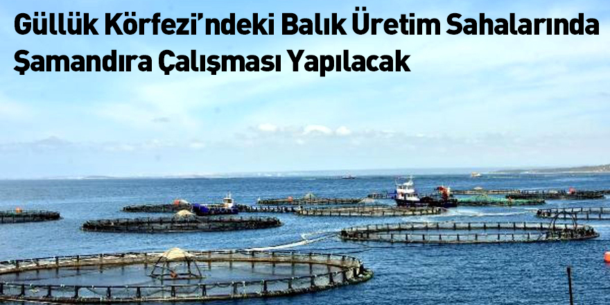 Güllük Körfezi’ndeki Balık Üretim Sahalarında Şamandıra Çalışması Yapılacak