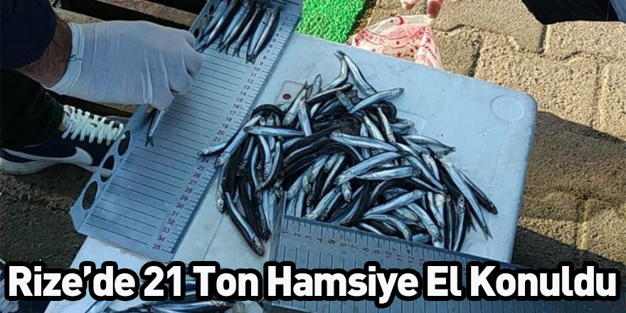 Rize’de 21 Ton Hamsiye El Konuldu