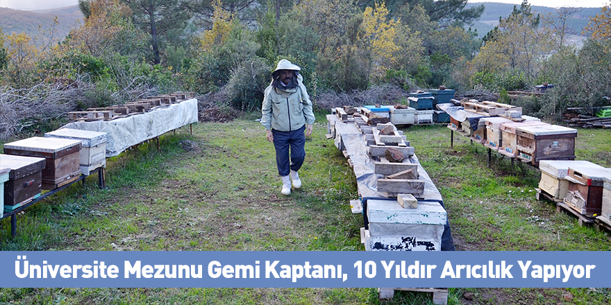 Üniversite Mezunu Gemi Kaptanı, 10 Yıldır Arıcılık Yapıyor