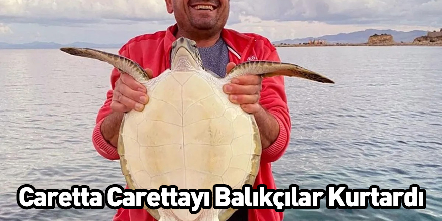 Caretta Carettayı Balıkçılar Kurtardı