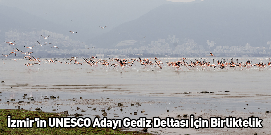 İzmir'in UNESCO Adayı Gediz Deltası İçin Birliktelik