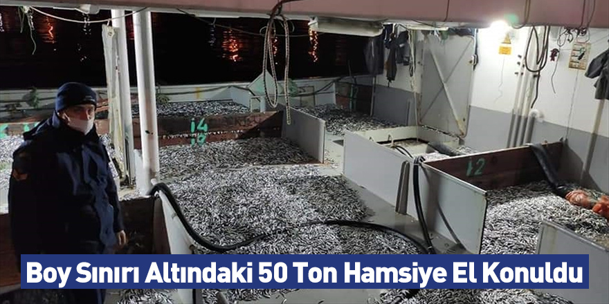 Boy Sınırı Altındaki 50 Ton Hamsiye El Konuldu