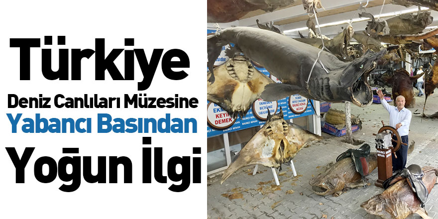 Türkiye Deniz Canlıları Müzesine Yabancı Basından Yoğun İlgi
