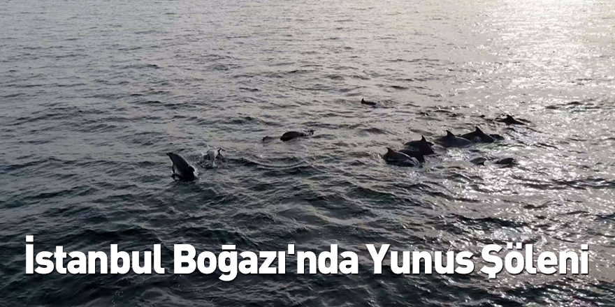 İstanbul Boğazı'nda Yunus Şöleni