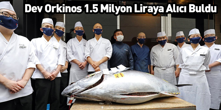 Dev Orkinos 1.5 Milyon Liraya Alıcı Buldu