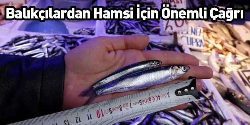 Balıkçılardan Hamsi İçin Önemli Çağrı