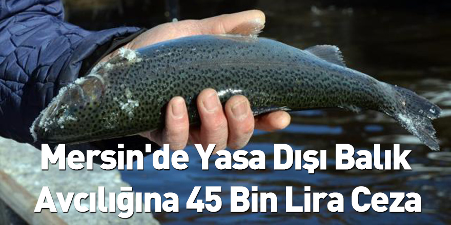 Mersin'de Yasa Dışı Balık Avcılığına 45 Bin Lira Ceza