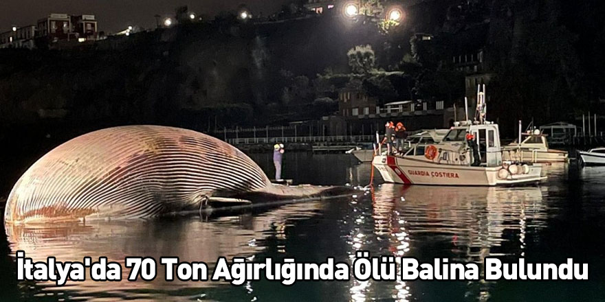 İtalya'da 70 Ton Ağırlığında Ölü Balina Bulundu