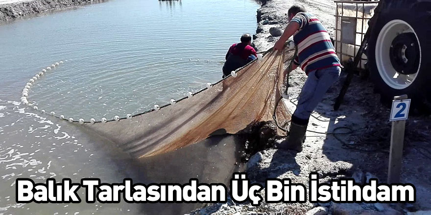 Balık Tarlasından Üç Bin İstihdam