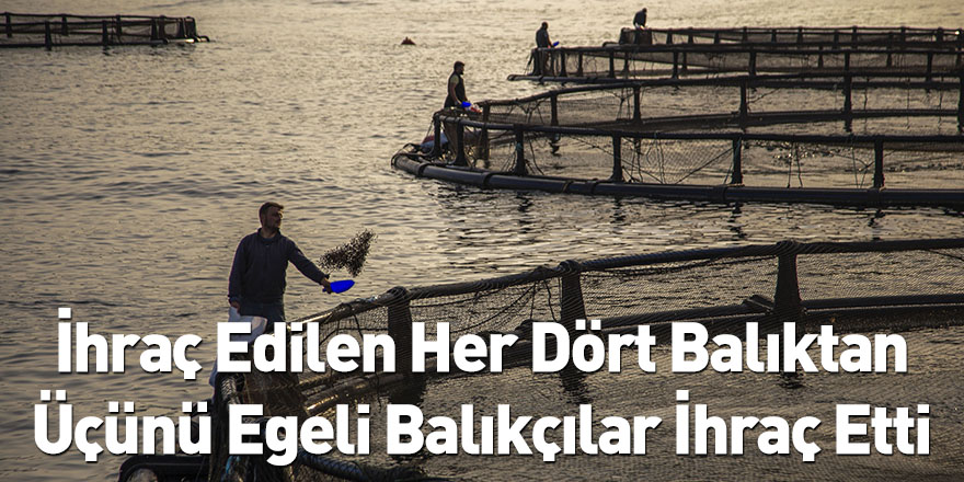 İhraç Edilen Her Dört Balıktan Üçünü Egeli Balıkçılar İhraç Etti