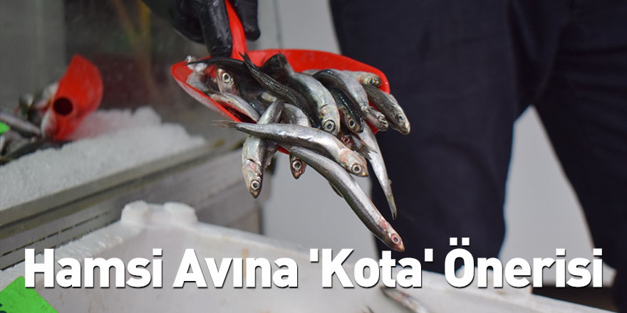 Hamsi Avına 'Kota' Önerisi